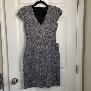 NWT Express Dress